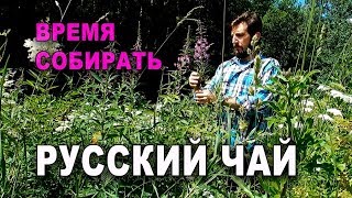 ВРЕМЯ СОБИРАТЬ РУССКИЙ ЧАЙ