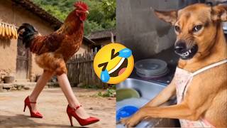 Funniest Animals of the Year! Try Not To Laugh Challenge Level 27