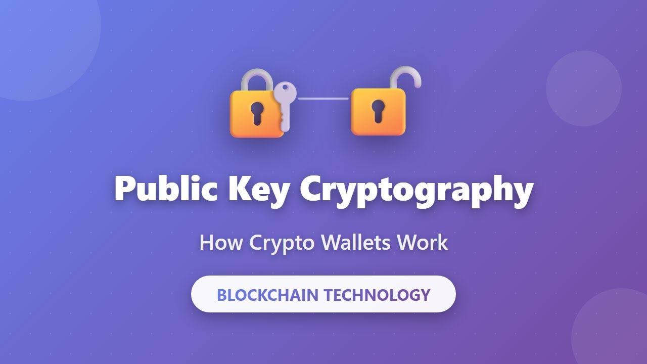 Public Key Cryptography Explained: How Crypto Wallets Work | Blockchain  Basics