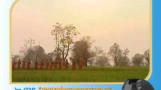 คมธรรมฯ ปี 2_199 การบิณฑบาต.mpg