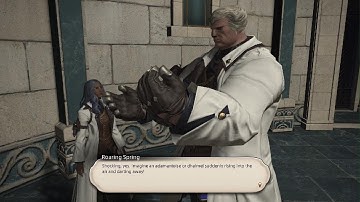 Final Fantasy XIV Online Endwalker: Margrat Custom Delivery Rank Up 2