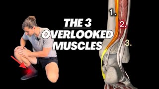 Your Dorsiflexion Isn’t Improving Because You’re Not Targeting These 3 Plantarflexors