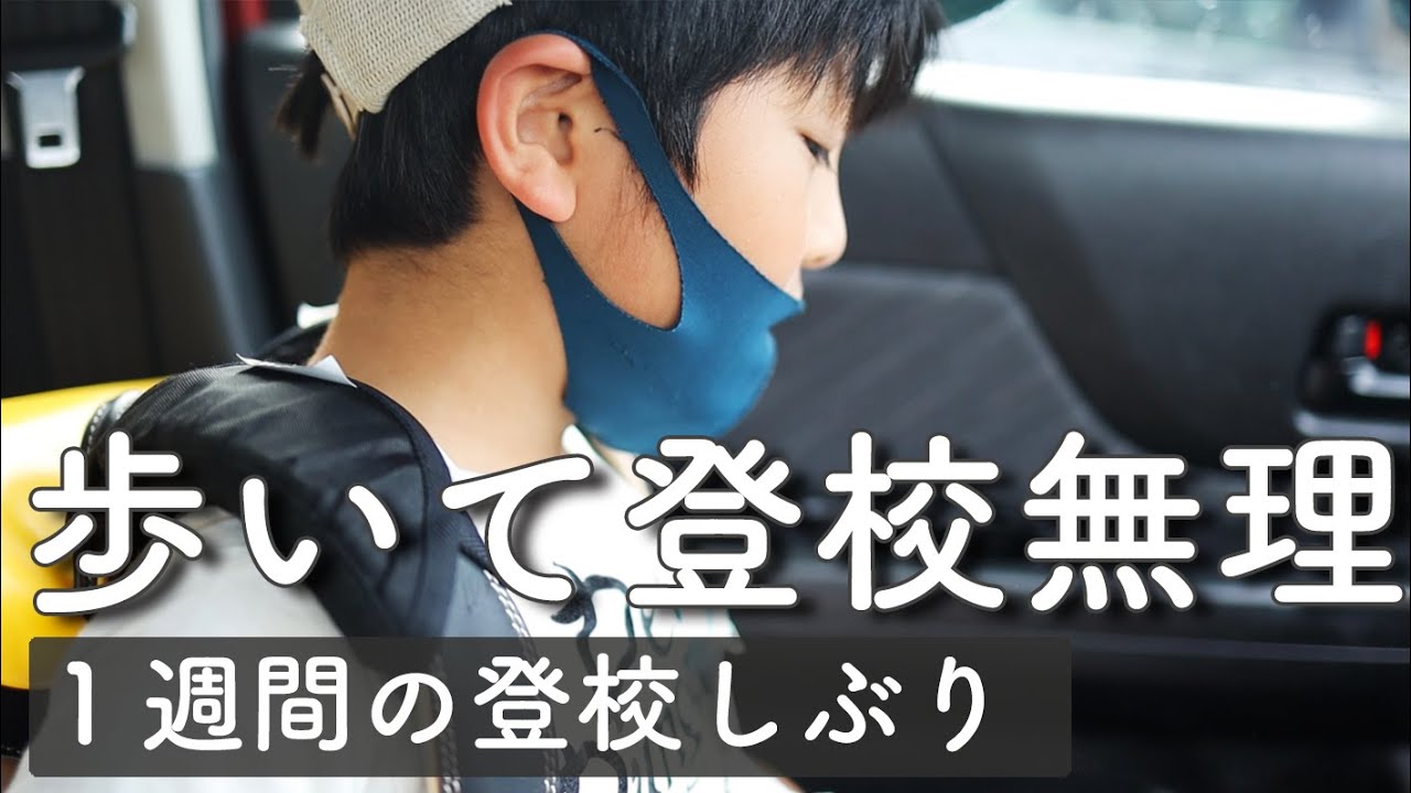 (虹色の朝陽45話) １週間の登校しぶりと特別支援学級 言語訓練の様子