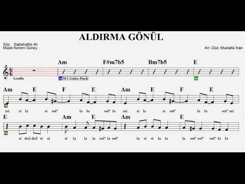 ALDIRMA GÖNÜL--E--:Guitar,Keyboard,Flute,Violin,Melodica.