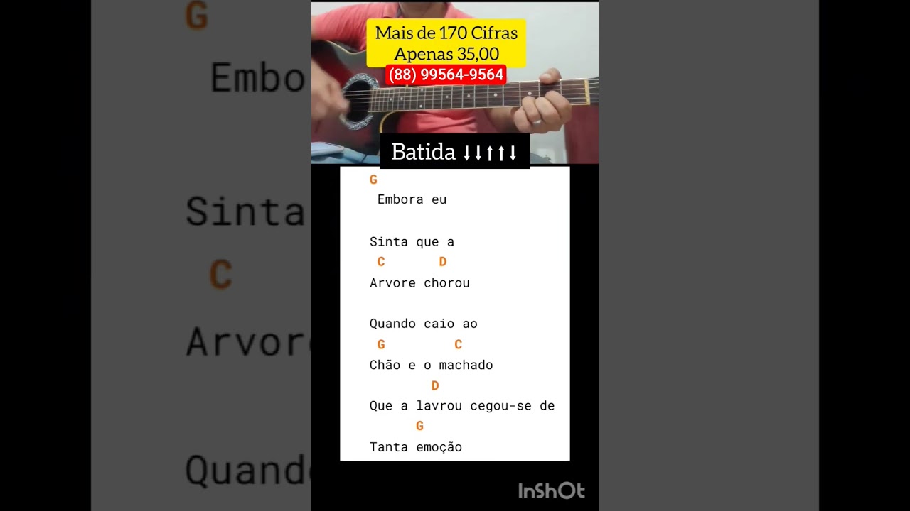 🎸 A Árvore da Cruz (Shirley Carvalhais) — versão simplificada no violão pra louvar fácil e bonito! 🙌