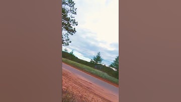 Under The Tree Canopy - DJI FPV Drone Video - Come Fly With Me!