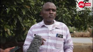 Arusha Wakubari Njombe kuwa Namba Moja Kilimo cha Parachichi/Tutaongeza Maelfu kwenye Kilimo Hiki/