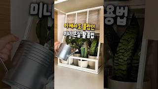 이케아도 몰랐던 미니 온실 활용법 #꿀템 #필수템 #이케아 #미니 #온실 #화분 #식물 #활용법 #원예 #미니어처 #테라리움 #감성 #셀프인테리어 #인테리어
