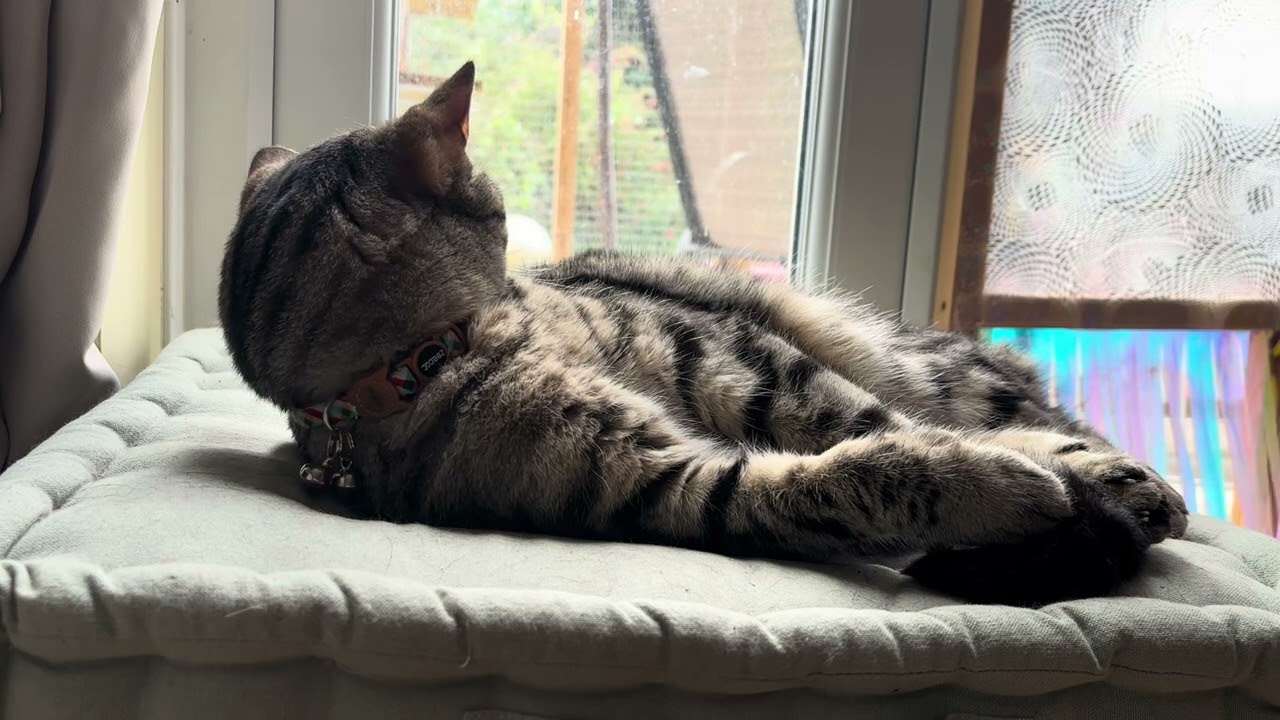 September 4th 2024: Compline: The Vicster & The Tedster (who doesn't look like a fur hat today!)