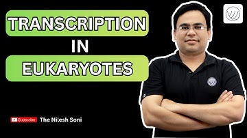 Eukaryotic Transcription Part I | mRNA Synthesis | TNS CONCEPTS | CSIR NET DEC 2025