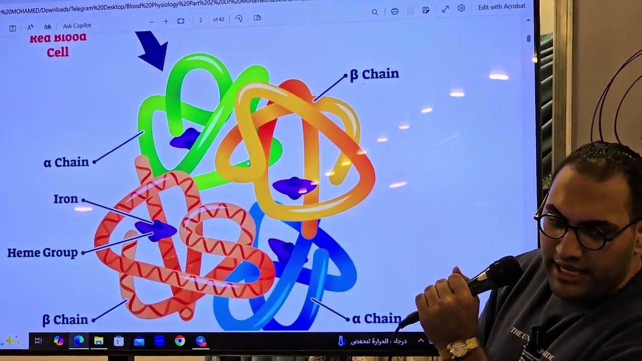 Blood physiology Crash -2 kasr Alainy 2025