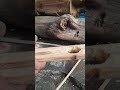 Papuan fire rope, the traditional art of starting a fire #primitivefire #traditionalfire #survival