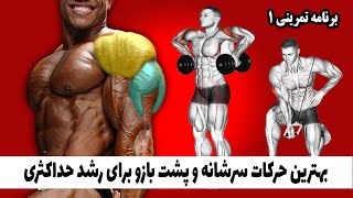 بهترین حرکات سرشانه و پشت بازو - برنامه تمرینی 1 screenshot 5