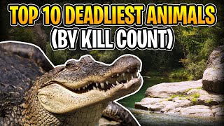 Top 10 Deadliest Animals: Which Animal Killed The Most People?