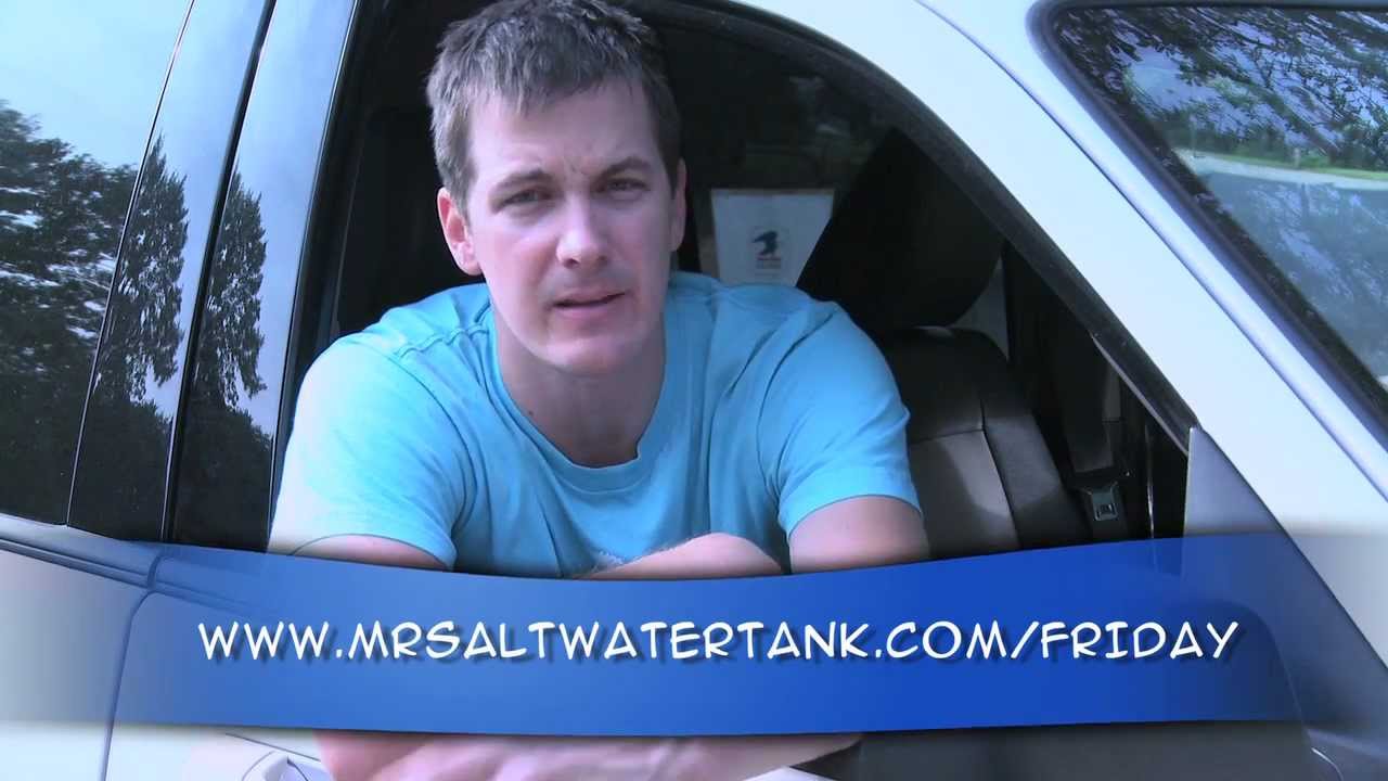 how to videos on tiktok Mr. Saltwater Tank TV Friday Am Quick Tip #96: There Is A Battery Backup Waiting Outside