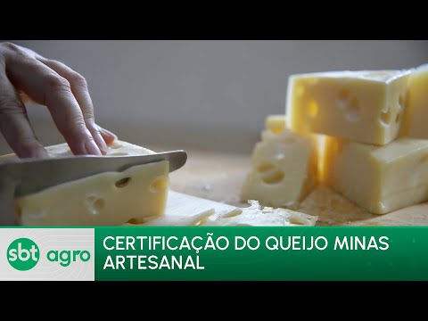 Video regularizacao-do-queijo-minas-abre-novos-mercados-e-concorre-a-concursos-renomados