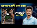 বাঘ আর হরিণ কথা বলছে 😱 || Funny Animal Video | Talking Animals || মজার প্রাণীর ভিডিও 2025 ||