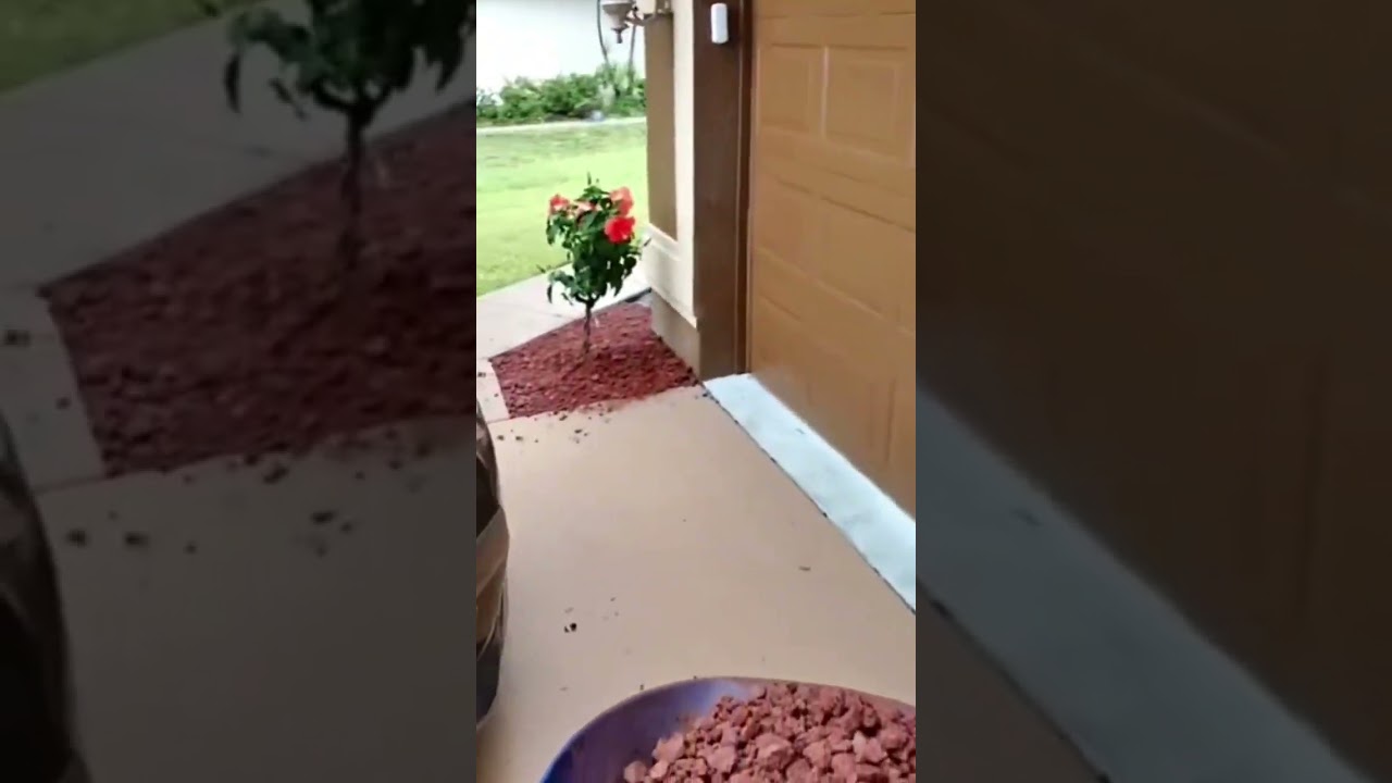 Installing Lava Rocks 