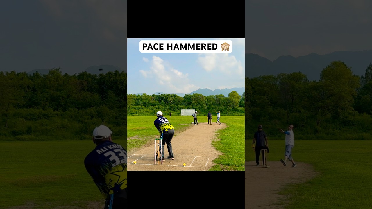 Cricket Pace Hammered 🏏 Batsman Stylish And Timing Sixes To Full Toss Balls 🎾 