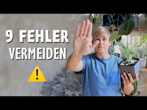 Video: Wann Hydroponik gießen?