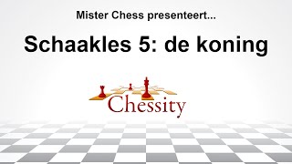 Mister Chess presenteert... Schaakles 5: de koning screenshot 4