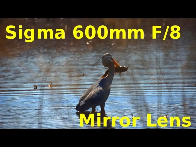 OBJECTIF SIGMA MIRROR-TELEPHOTO 600 mm f/8 Monture MINOLTA EUR 179,00 - FR