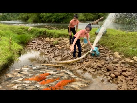 Girl Using Wild Pond Water Pump – Catching Red Carp with Black Spots ...