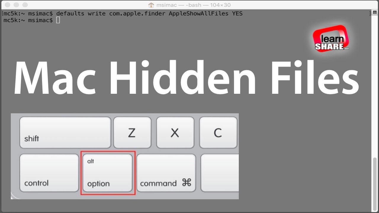 Show hidden files. Hidden filled. How to see hidden files on youtube. Hidden, show, Idle, Hide button. Hidhide это