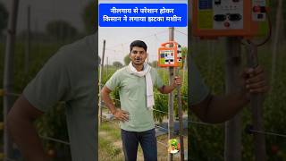 नीलगाय ने बर्बाद की टमाटर की फसल 😭 | झटका मशीन ने बचाई खेती ⚡🍅 #jhatkamachine #nilgai #kheti