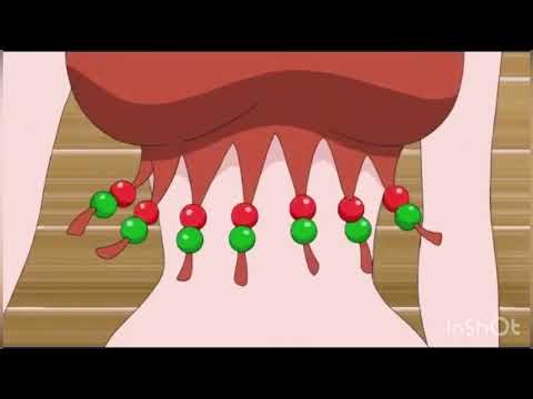 このナミとロビンの服好き 