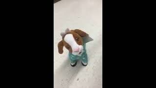 Funny Singing Toys screenshot 3