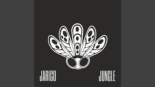 Jungle