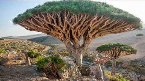 Kisah Samiri (Dajjal) Full Version Lengkap