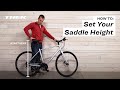 How To: Set Your Saddle Height