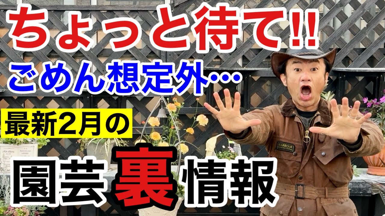 【暖冬？寒波？？】今月は買い物に行く前に必ず見て下さい　【カーメン君】【園芸】【ガーデニング】【初心者】