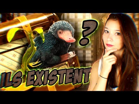 Les Animaux Fantastiques Ces Creatures Qui Existent En Vrai Youtube