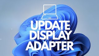 Celebrity Update Microsoft Basic Display Adapter In Windows 11/10 [Step Guide] Net Worth