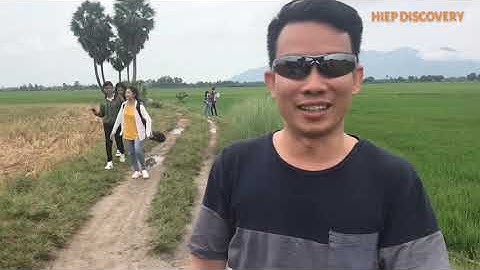 NHỮNG ĐIỂM DU LỊCH KHI ĐẾN AN GIANG.  CÂY THỐT NỐT TRÁI TIM - Tri Tôn - An Giang - Việt Nam.