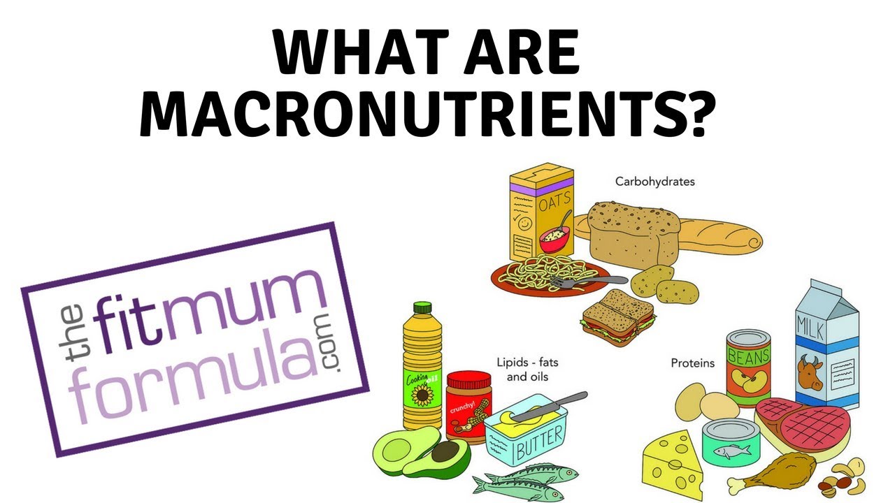 What are Macros? - YouTube