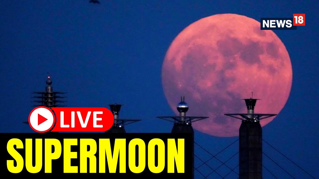 Supermoon 2023 LIVE | Santiago de Chile Supermoon | Supermoon August 2023 Live |Supermoon Live Today