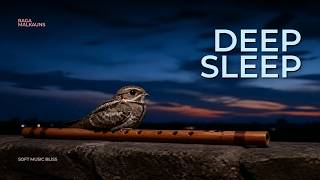 Quiet Your Mind: Raga Malkauns On Bansuri for Deep Sleep & Night Peace screenshot 5