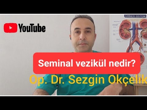 Video: Vezikül bilim açısından ne anlama geliyor?