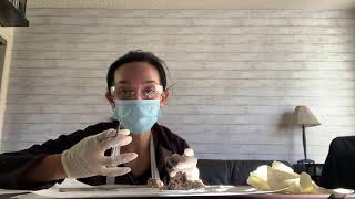 LAPU Lab 8: Cow Eyeball Dissection