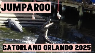 Jumparoo Gator Show 2025 | Gatorland Orlando