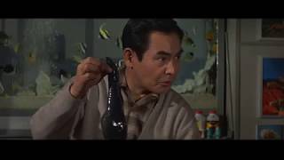 Renacuajo mexican Dub Vs Castilian Dub