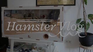 Hamster Vlog | LaOla Gehege zusammenbauen & einstreuen