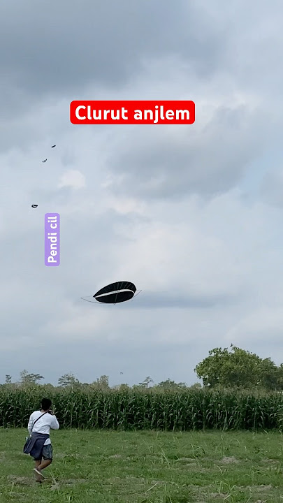 Download lagu sliding down in the corn field #kite