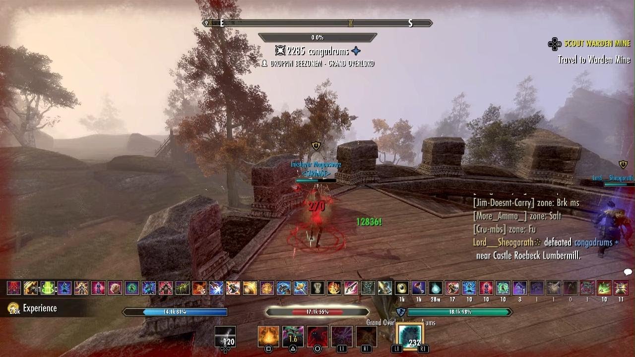 The Elder Scrolls Online is unacceptable unplayable laggy trash 24/7 