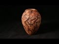 Lichtenberg Fractal Burned Vessel