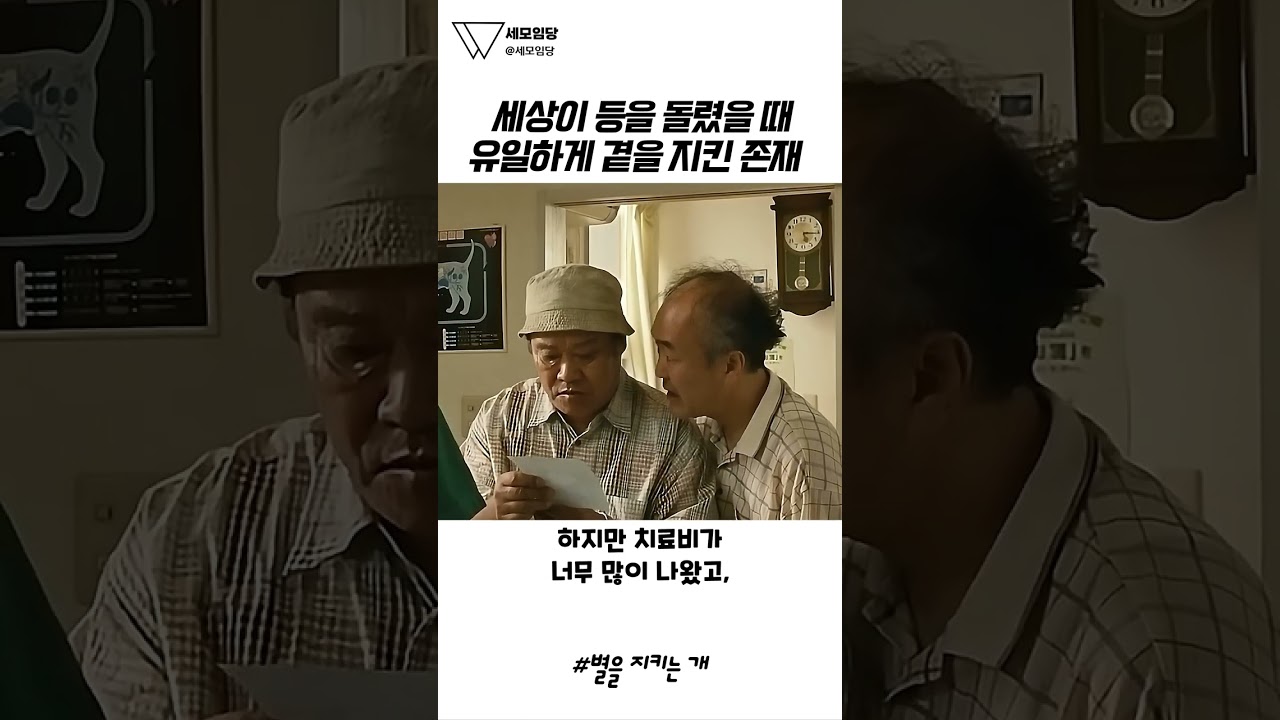 [별을 지키는 개] 모든 걸 잃은 남자가 반려견과 떠나는 마지막 여행의 진짜 의미 🥹💔🐾 #별을지키는개 #감동 #눈물 #명장면 #영화추천